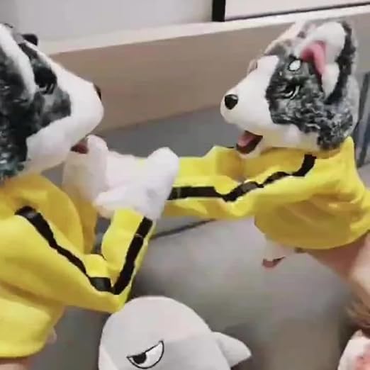 Kung Fu Dog Howzhat