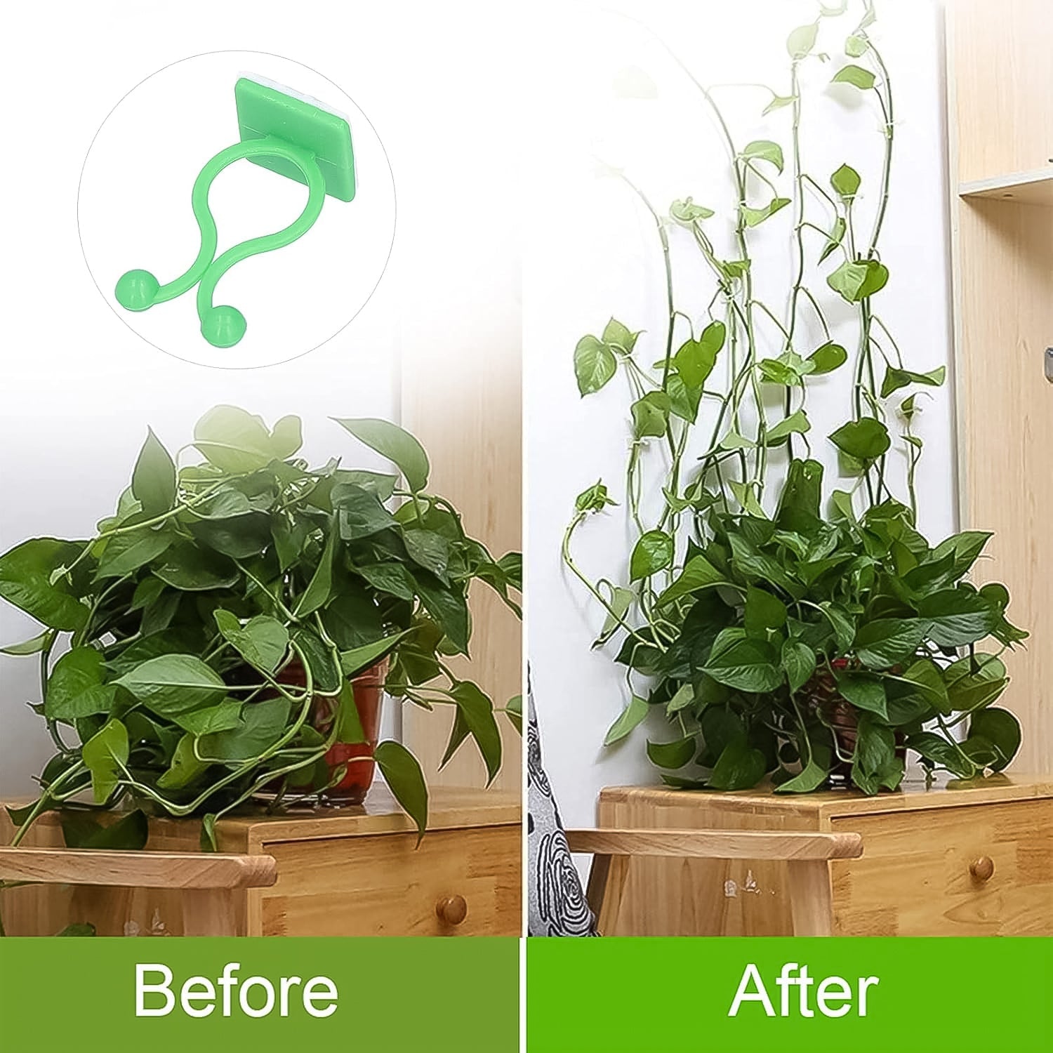 Plant Climbing Wall Fixture Clip Self-adhesive Hook (100 Pcs Set) Wukusy