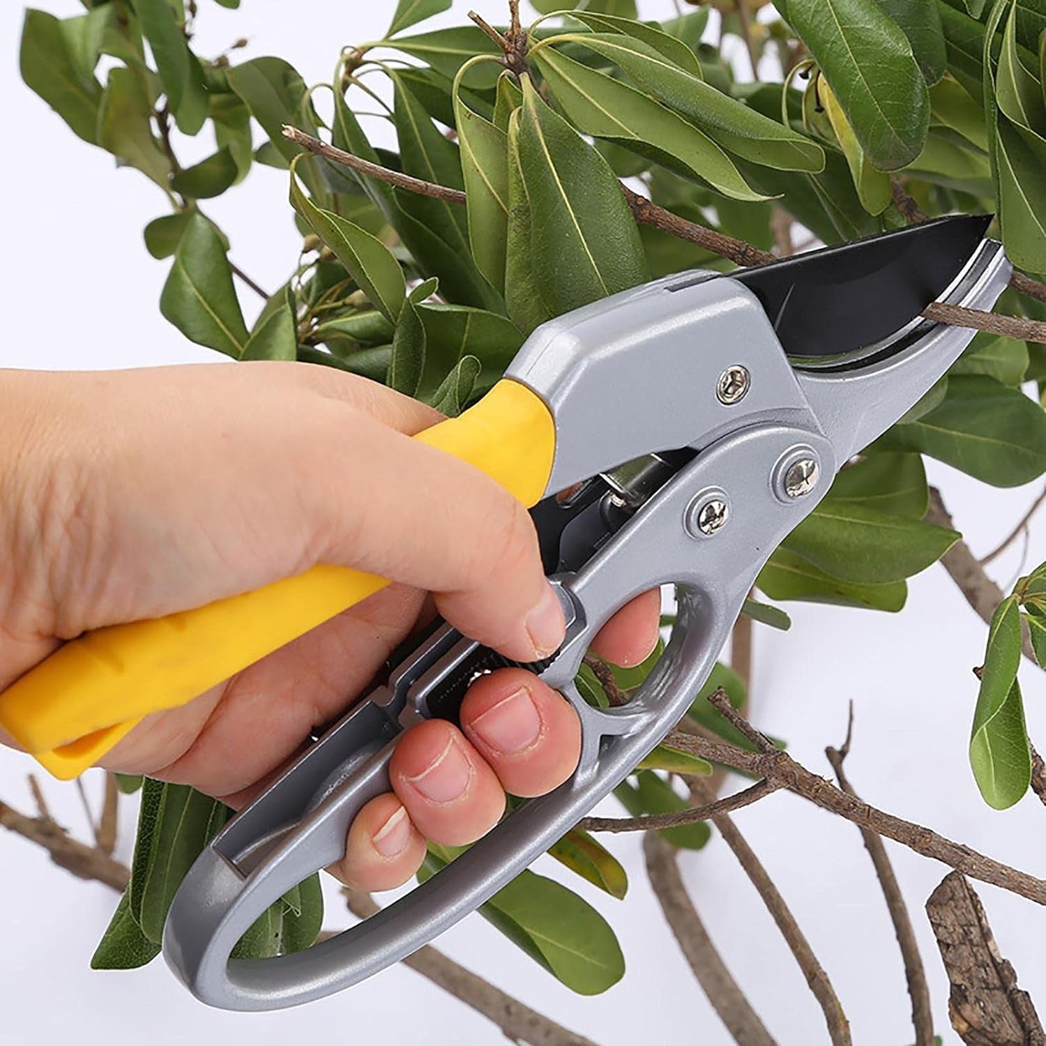 Gardening Shears Enhanced Garden Shears Pruning Machine (200 Mm  1 Pc) Wukusy