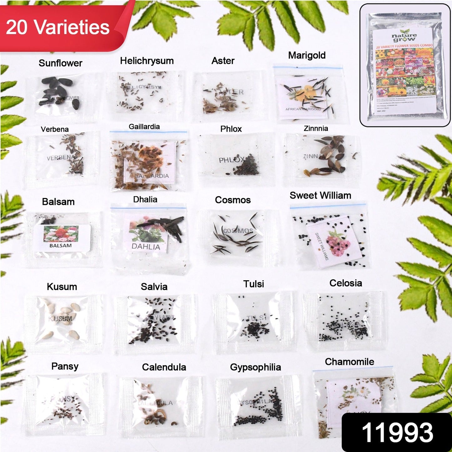 Seeds 20 Varieties Of Flower Seeds Combo (1 Pkt  20 Varieties) Wukusy
