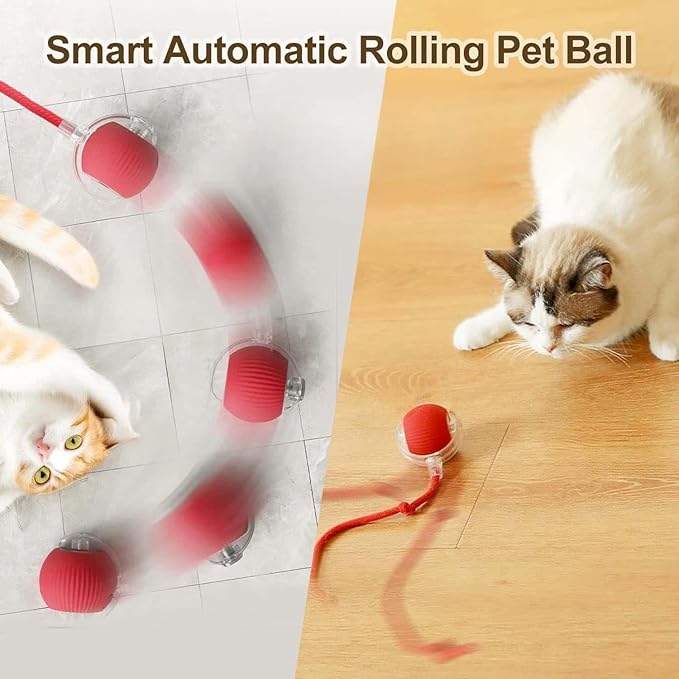 Automatic Cat Teaser Ball Howzhat