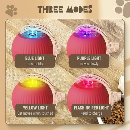 Automatic Cat Teaser Ball Howzhat