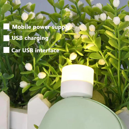 Usb Led Lamp Night Light Mini Portable For Pc And Laptop (5 Pcs  Mix Color) Wukusy