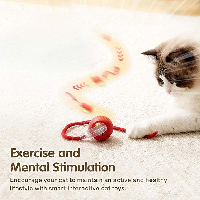 Automatic Cat Teaser Ball Howzhat