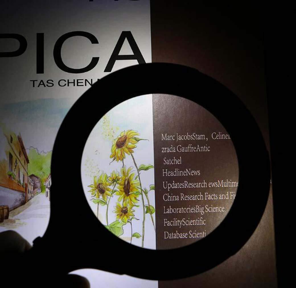 1573 Magnifying Glass With 3 Led Light 3x Power And Rubberized Handle Wukusy