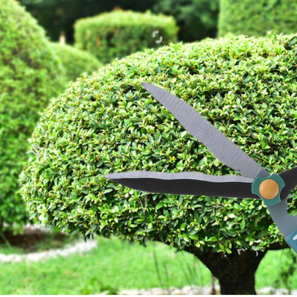 0469 Garden Big Scissor Wukusy