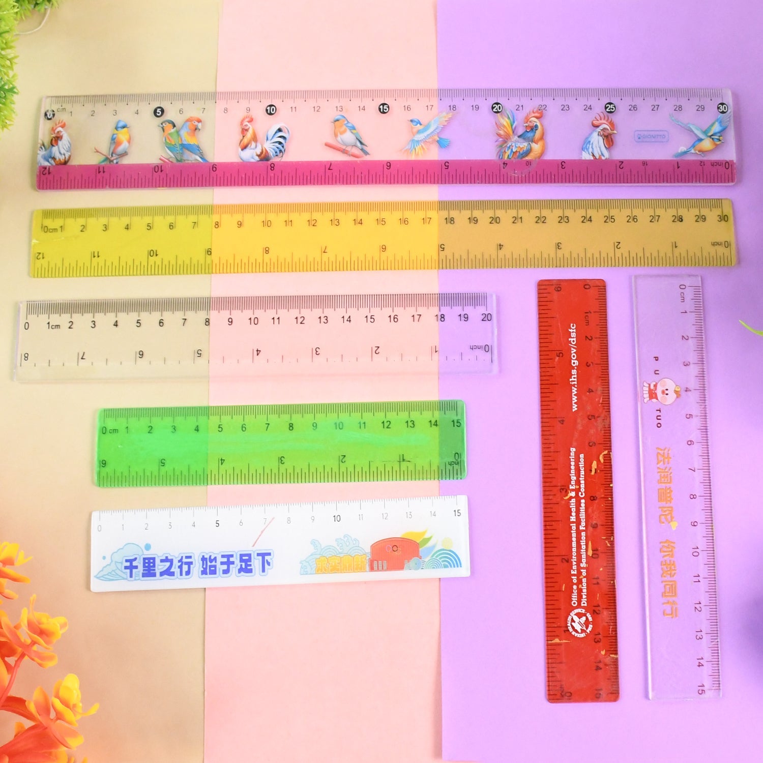 Premium Quality Assorted Plastic Ruler (1 Pc  Mix Design) Wukusy
