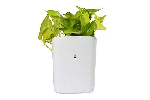 3858 Plastic Vertical Hanging Planter Pot Multicolour Wukusy