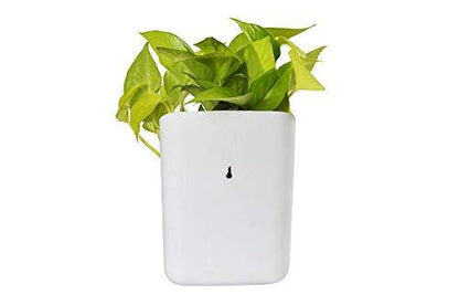 3858 Plastic Vertical Hanging Planter Pot Multicolour Wukusy