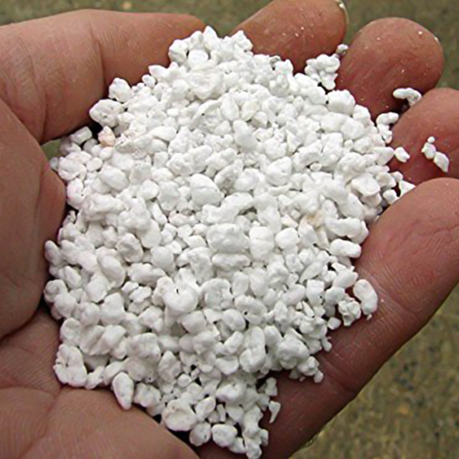 Paradise Perlite For Hydroponics Amp Horticulture Terrace Gardening Soil Conditioner (250 Gm) Wukusy