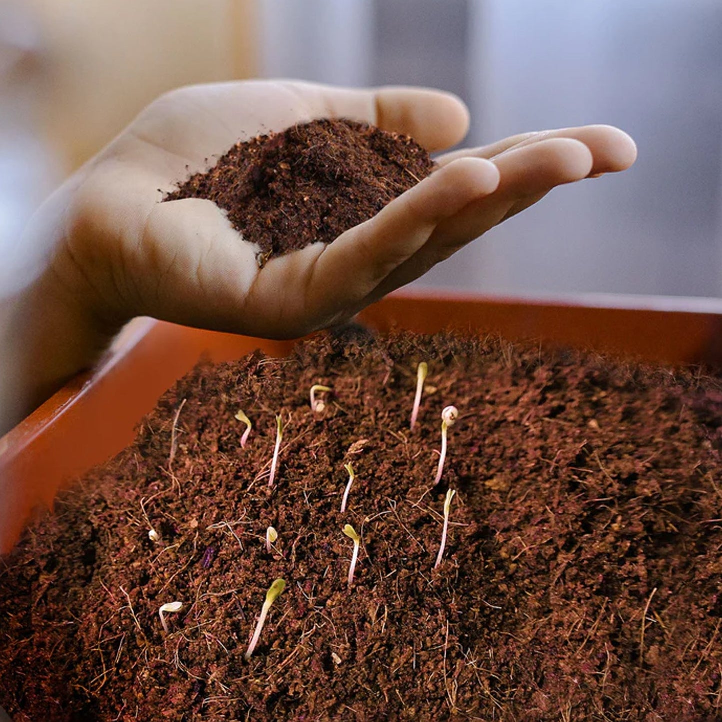 Cocopeat Block Organic Fertilizer And Soil Manure Potting Mixture For Home Gardening And Potted Plants (1 Kg.) Wukusy