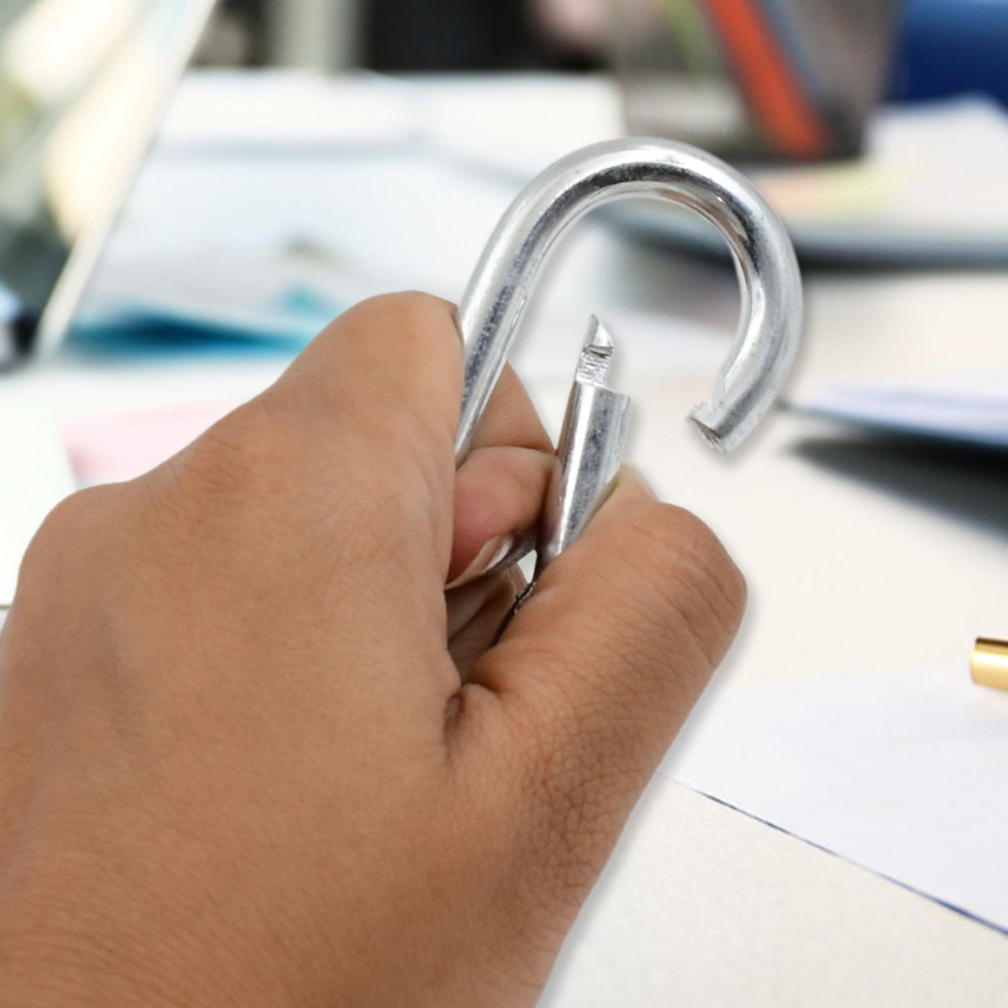 Stainless Steel Snap Hook (770 Mm  1 Pc) Wukusy